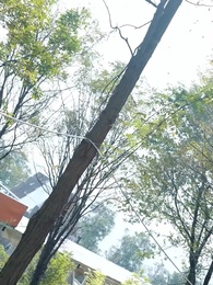 Rich Son, Wounded Father - Episode 49