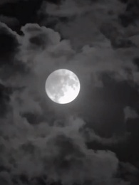 Episódio 39 - [Dublado]O Palco Que Sempre Foi Meu