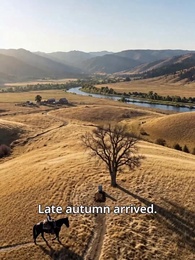 Episode 33 - Scars into Sunlight