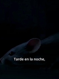 El color de la mentira - Episode 7