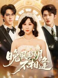 晚風與月不相逢