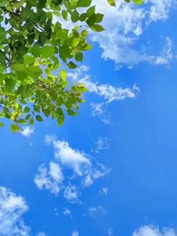 Venganza Entre Sombras - Episode 50