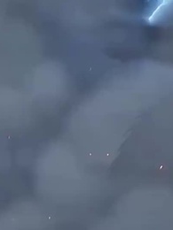 Серия 31 - Укрощение зверей: Раз все эволюционируют, я возвращаюсь к предкам