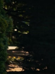 Episode 13 - All Enemies Reborn:I’ll Make Everyone Who Wronged Me Fall Into Ruin