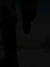 第12集 - 神獸遍地：你管這叫動物園