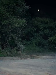 Mở Hack Thập Niên 70 - Episode 18