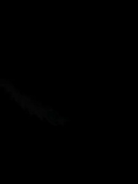 Серия 22 - Укрощение зверей: Раз все эволюционируют, я возвращаюсь к предкам