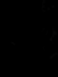 Episodio 26 - Il Risveglio dei Draghi