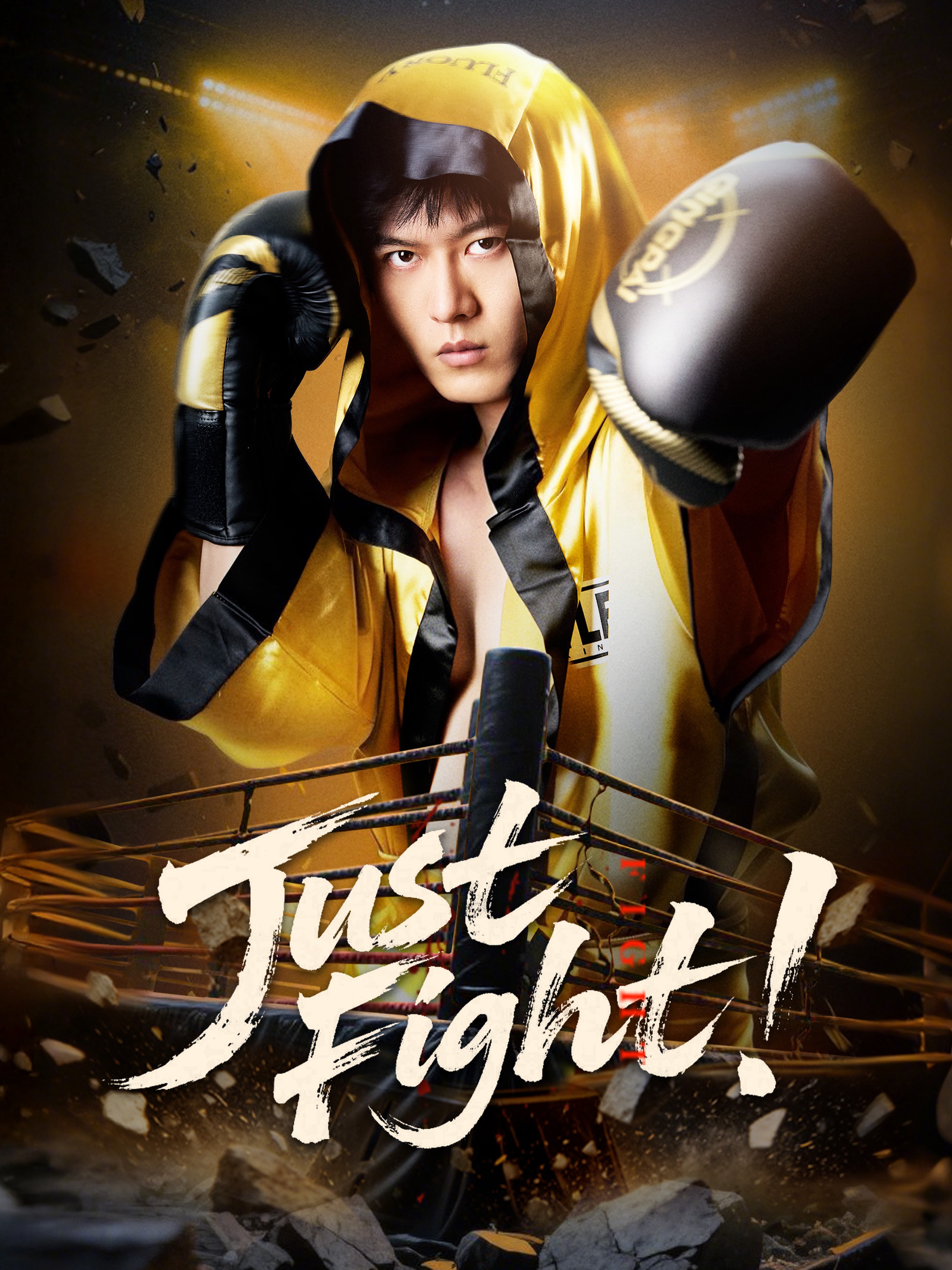Just Fight! (Dubbed)