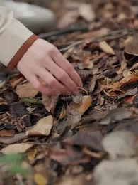 Maskenin Ardındaki Varis - Episode 19