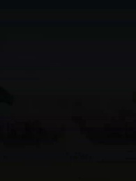 Episodio 63 - Il Risveglio dei Draghi