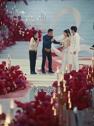 第16集 - 晚風與月不相逢