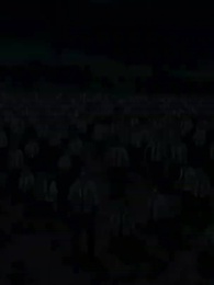 Серия 28 - Укрощение зверей: Раз все эволюционируют, я возвращаюсь к предкам