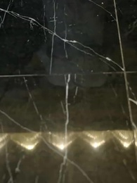 Episodio 15 - Il Prezzo della Lealtà