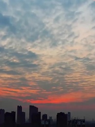 第49話 - 旦那様のウラの顔