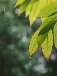 Episode 58 - Love on the Edge