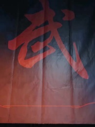 Episodio 8 - No te amé a ti