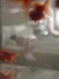 الحلقة 8 - الزواج السري مع الرئيس