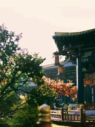 Episodio 28 - Agnello e Laura 