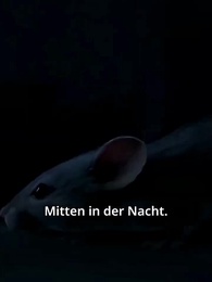 Episode 7 - Die Wahrheit kam nach ihrem Tod