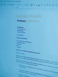 Episodio 14 - [Doppiato]Per Favore/Sposa Mio Marito