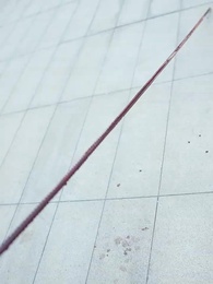 Épisode 42 - Après la neige, la lumière