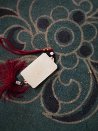 Tập 25 - Công Chúa Báo Thù