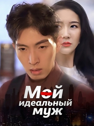 Мой идеальный муж
