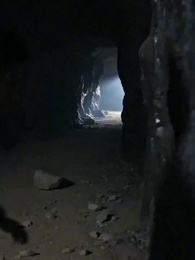 萬獸獨尊 - Episode 13