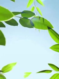 Episode 58 - [Dubbed]Paths of Healing