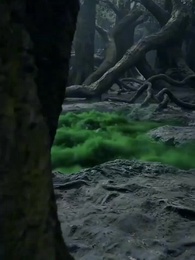 Episodio 15 - [Doblado] Soy Emperador Divino