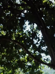 Episode 60 - [Synchron]Meine CEO-Mama und mein Meister-Papa