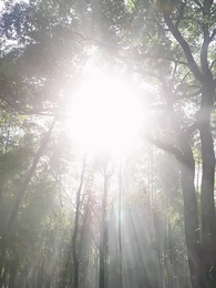 Melewati Ujian Cinta - Episode 1