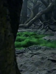 萬獸獨尊 - Episode 15