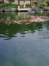 Episode 35 - Melewati Ujian Cinta