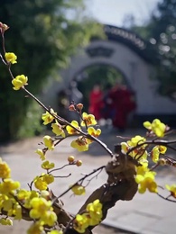 Tập 12 - [Lồng tiếng]Cánh Hồng Kinh Diễm