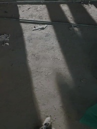 悪名で名門を制す～凌奈の帰還 200億の使命～ - Episode 23