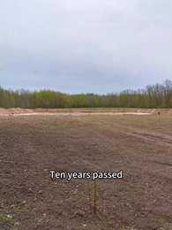 Episode 22 - After the Quake, I Avenged Mom