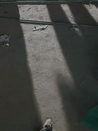 Domina a la élite con su mala reputación - Episode 23