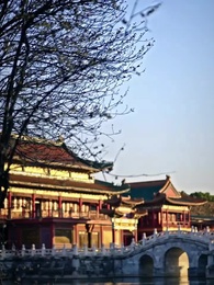 Tập 52 - [Lồng tiếng]Cánh Hồng Kinh Diễm