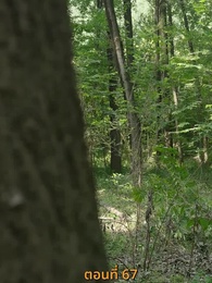 [พากย์ไทย]เส้นทางเซียน - Episode 67