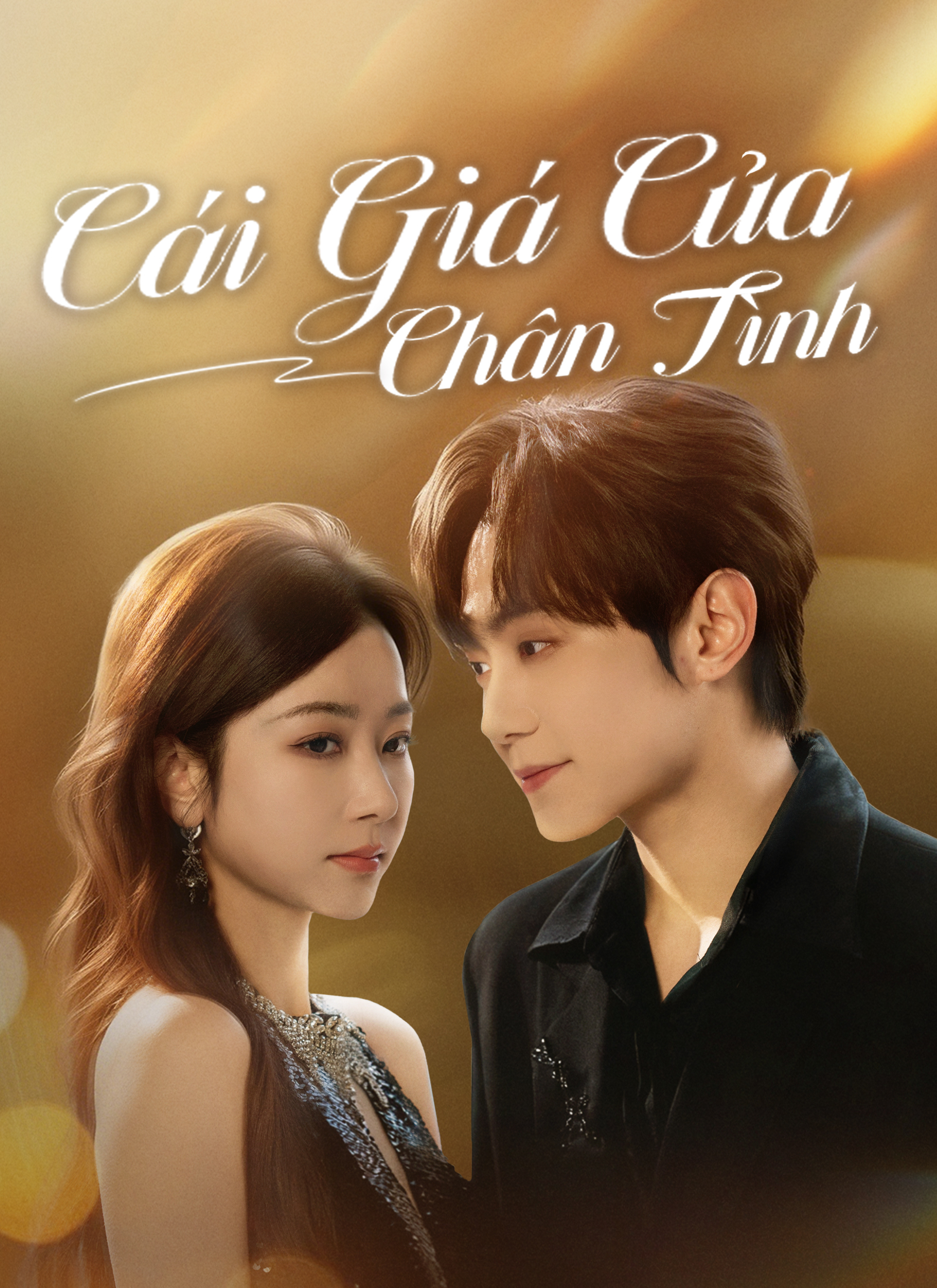 Cái Giá Của Chân Tình