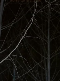 Episodio 25 - Me casé con la heredera equivocada