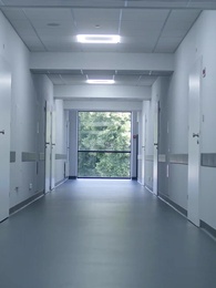 Episode 41 - The Day the Champion Racer Lost His Bride