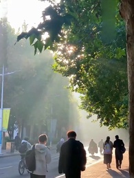 My One Night with My Ex’s Dad - Episode 5