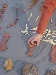 Cursed Bloodlines: A Fortune Teller's Tale - Episode 78