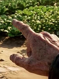 Episode 46 - Bossing Zombies in the End Times