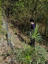 Cursed Bloodlines: A Fortune Teller's Tale - Episode 4