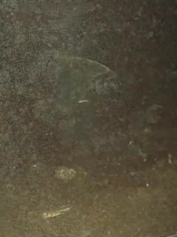 [Doblado]Cobrando a los Parásitos - Episode 30