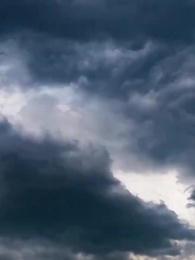 Episode 1 - Cursed Bloodlines: A Fortune Teller's Tale